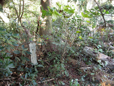 e0293913_20205786.jpg
