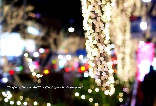 Xmas Illumination 2013*Omotesando_d0083623_21591378.jpg