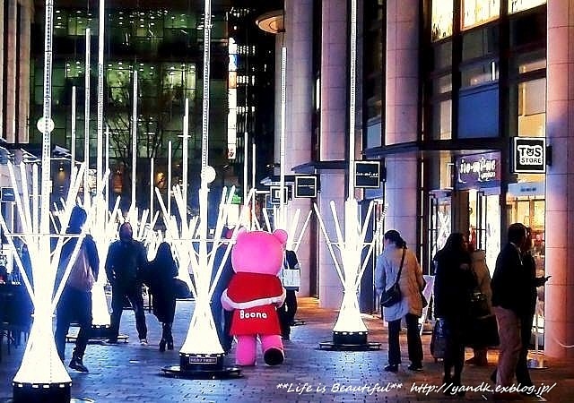 Xmas Illumination 2013*Omotesando_d0083623_2242339.jpg