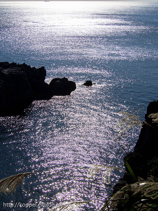 f0234423_2137433.jpg