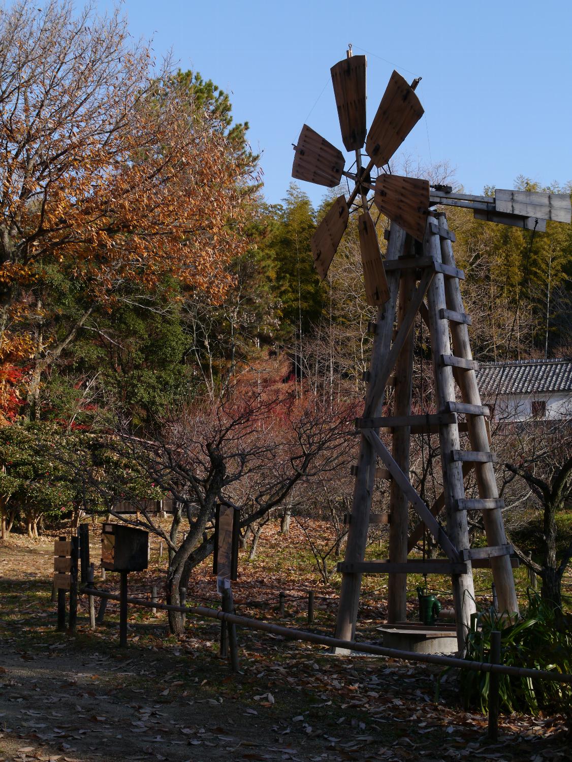 b0069128_12543059.jpg
