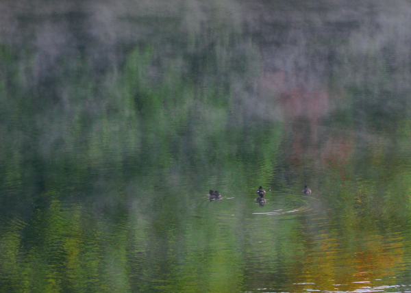 d0095928_1440815.jpg