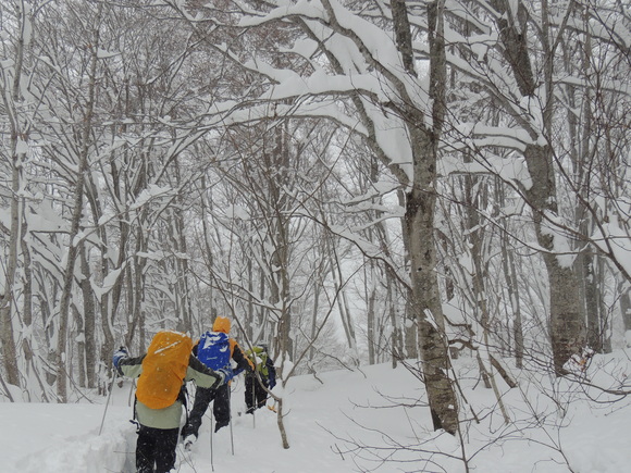 f0118332_1627720.jpg