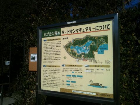 光が丘公園(12月14日)_e0213636_1455459.jpg