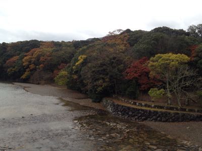 慰安旅行_e0166340_1592861.jpg
