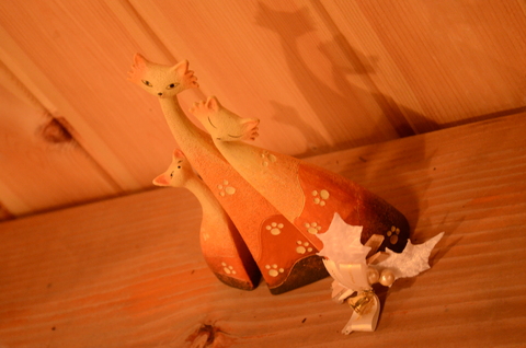 ☆ニャンコと お星さま☆_b0207642_1715207.jpg