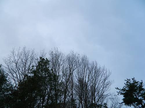 b0218444_1652315.jpg