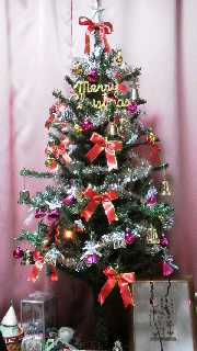 クリスマスツリー♪_d0004447_1485391.jpg