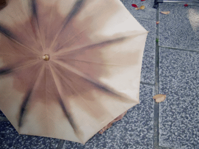 a0251749_18271410.gif