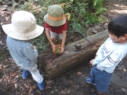 10月1週 秋を知る_e0256851_0452695.jpg