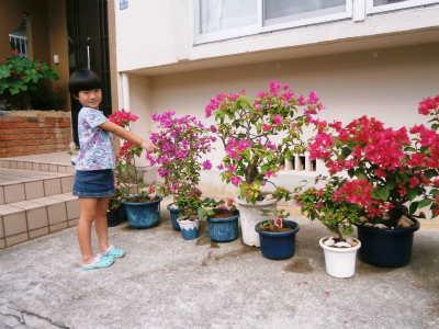 c0180460_128725.jpg