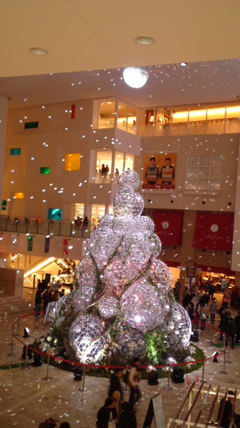 f0225982_14591836.jpg