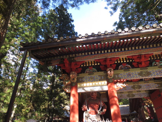 d0055395_20453844.jpg