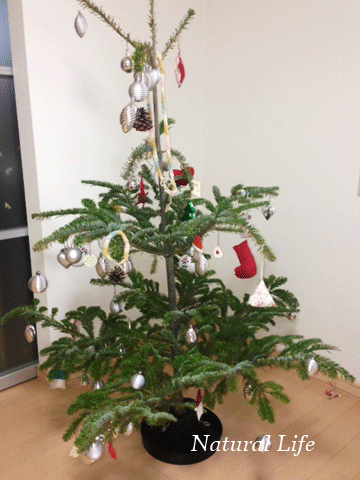b0162000_457509.gif