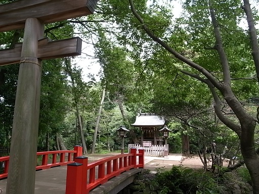 パワースポット巡礼 / 最強の大宮氷川神社2_e0043700_13244859.jpg