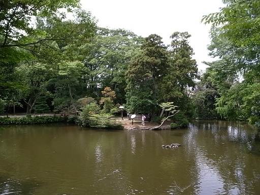 パワースポット巡礼 / 最強の大宮氷川神社2_e0043700_13252937.jpg