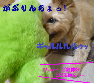 a0154801_9325699.png