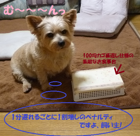 a0154801_9341184.png