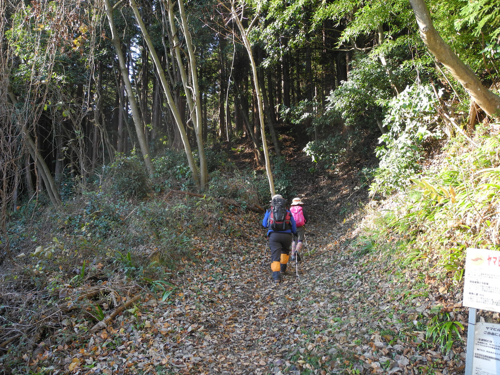 ご近所裏山的山行・高取山&仏果山_a0158802_11285017.jpg