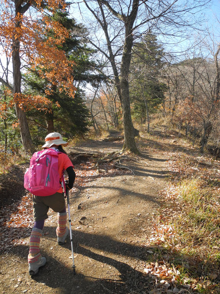 ご近所裏山的山行・高取山&仏果山_a0158802_11344491.jpg