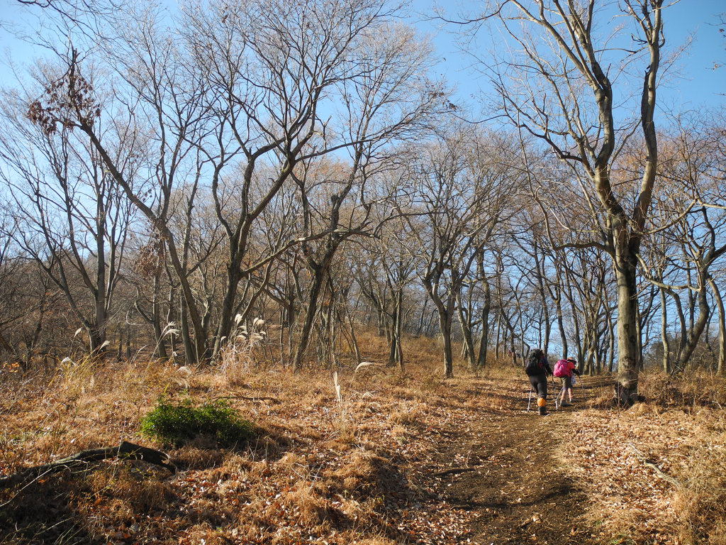 ご近所裏山的山行・高取山&仏果山_a0158802_11391262.jpg