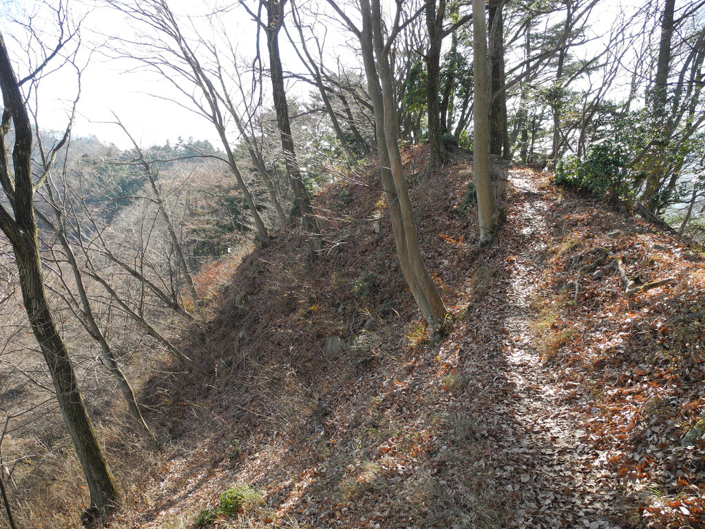 ご近所裏山的山行・高取山&仏果山_a0158802_11553681.jpg