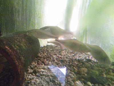 f0082402_10593329.jpg