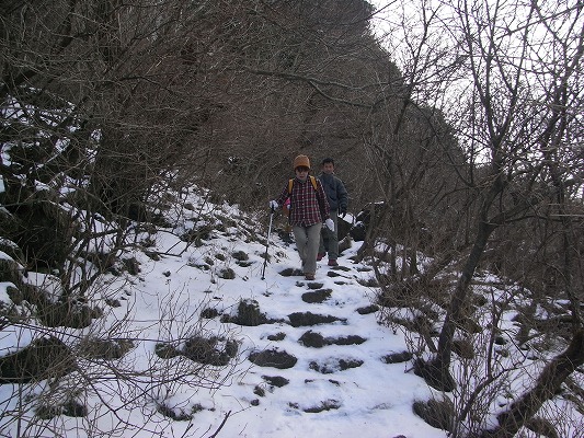 f0187402_17402770.jpg