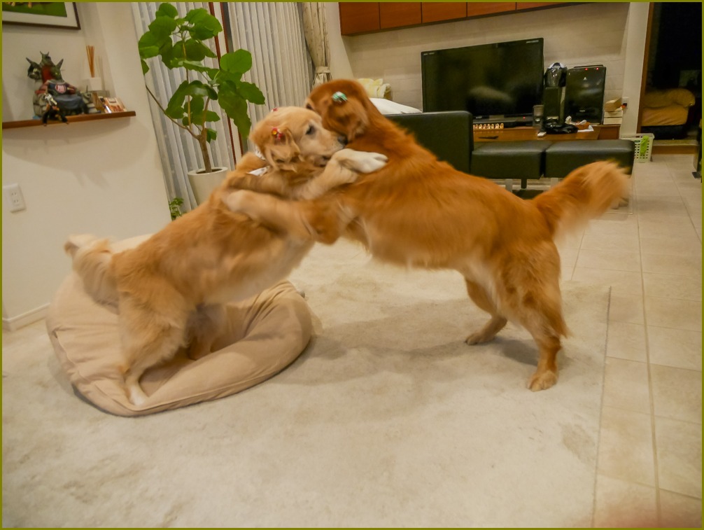 今日は高濃度ビタミンc点滴の日と水の事 ロモビ 父ちゃんのphoto日記 今日は高濃度ビタミンc点滴の日と水の事 ロモビ 父ちゃんのphoto日記