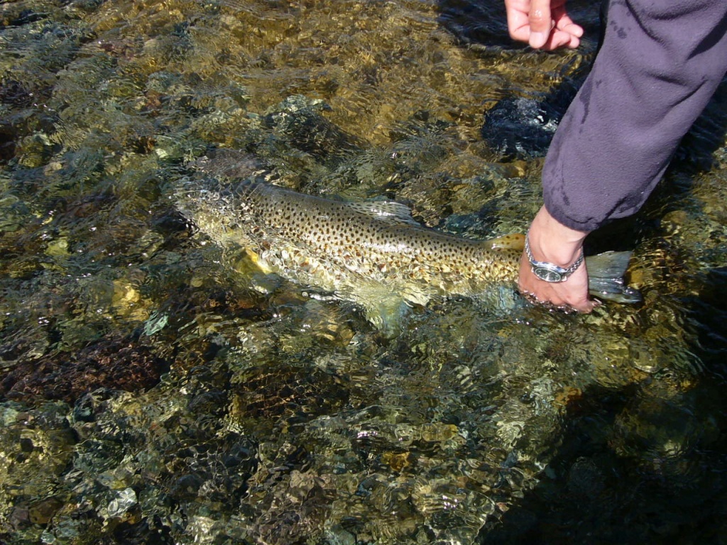 やはり世界一の釣り天国_b0050305_18225620.jpg