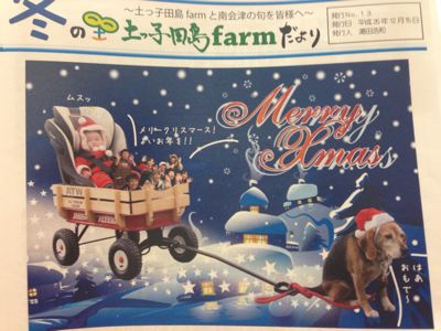 土っ子田島farm冬号_d0099708_22311499.jpg