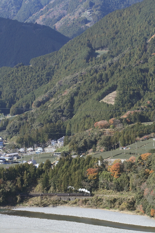 寒風と白煙と彩りと - 2013年初冬・大井川 -_b0190710_231019.jpg