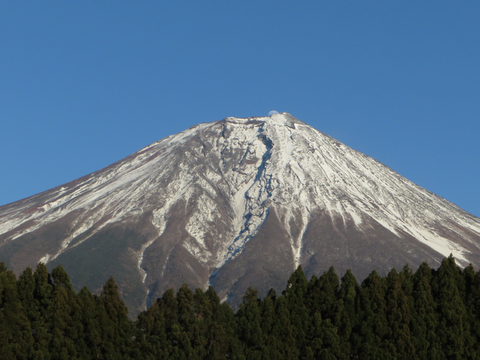 d0160611_2263037.png