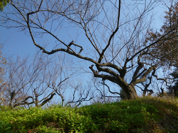 e0233614_072945.jpg
