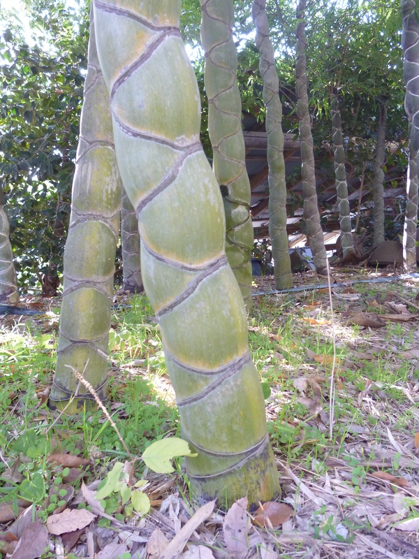 e0233614_08416.jpg
