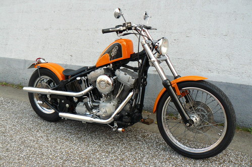 Magma Orange SOFTAIL_b0160319_15184324.jpg