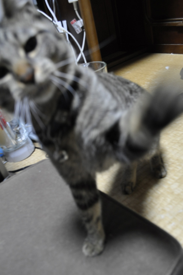 c0260421_0255484.jpg