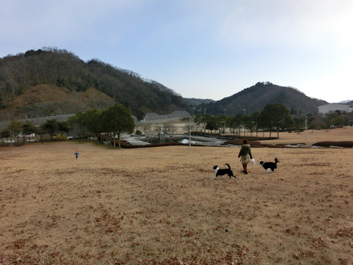 岡山へ忘年会旅行_e0179321_20113230.jpg