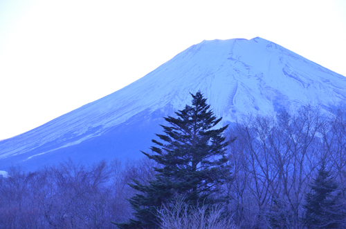 富士山に会いに_e0312121_1445288.jpg