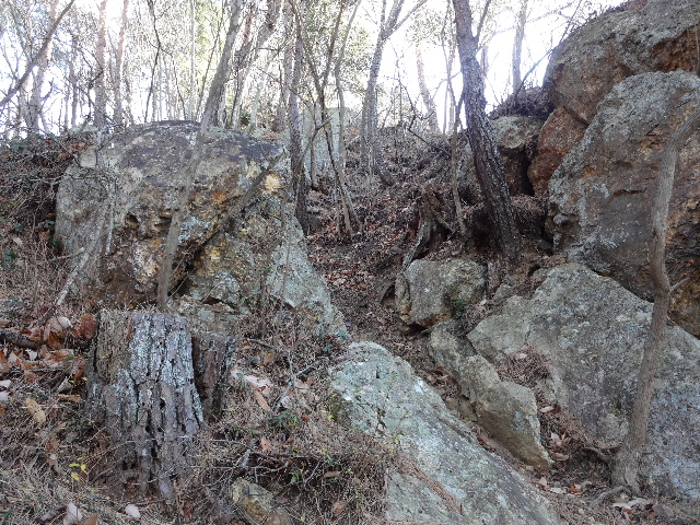 c0141223_19121976.jpg