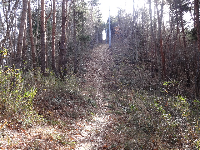 c0141223_19183458.jpg