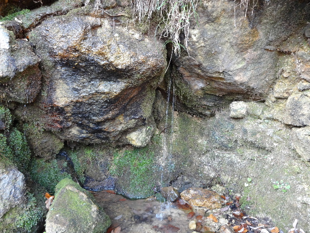 c0141223_1935163.jpg