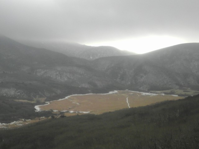 a0220528_11075.jpg