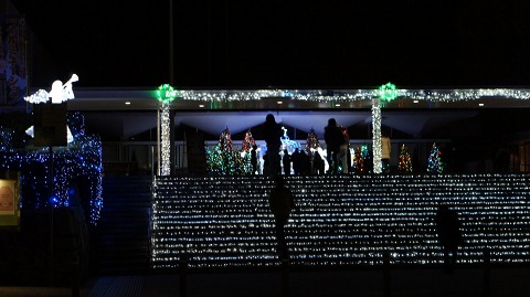 e0202031_037798.jpg