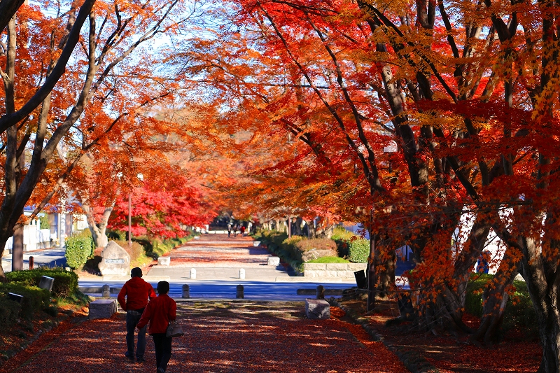 那須塩原市　大山参道（１）_f0229832_9201210.jpg