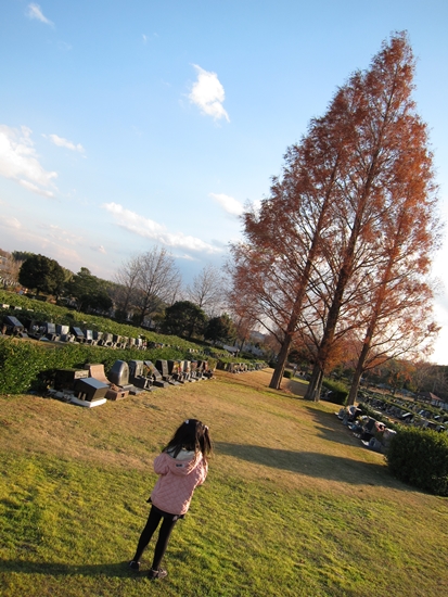 d0001533_031151.jpg