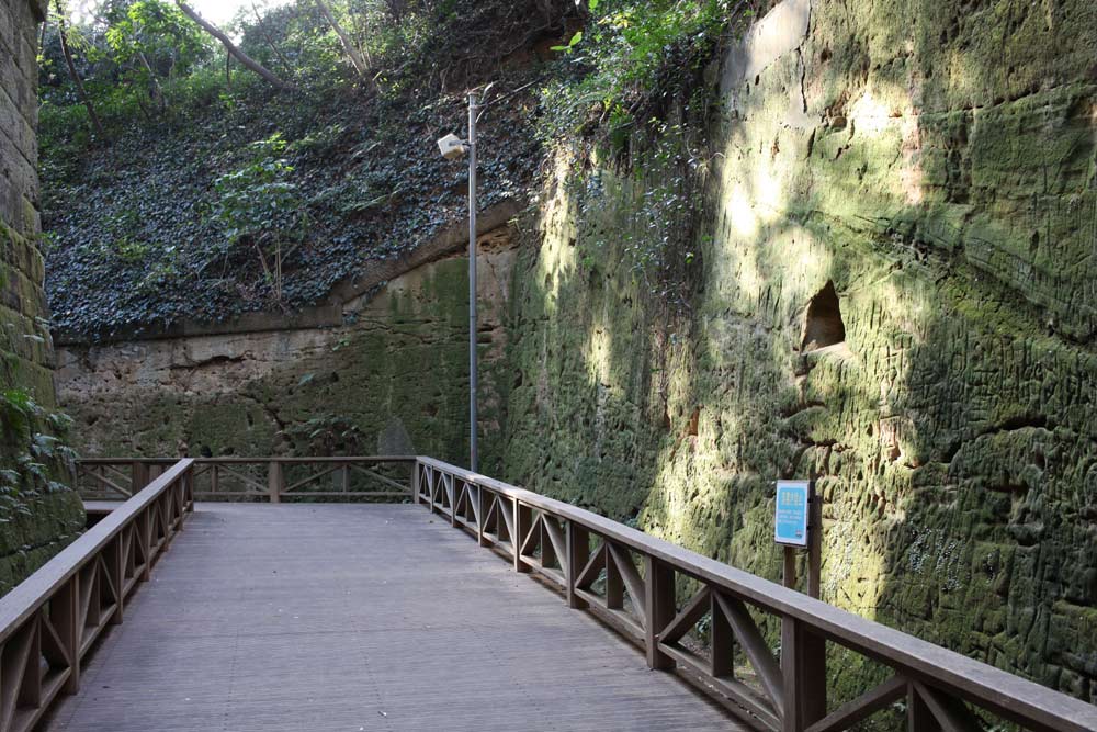 e0108233_218322.jpg