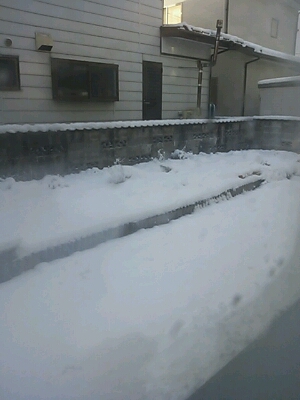 b0306737_823851.jpg