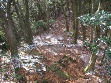 c0077338_223834.jpg