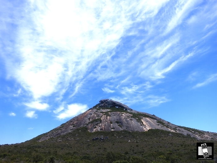 a0150039_10361253.jpg